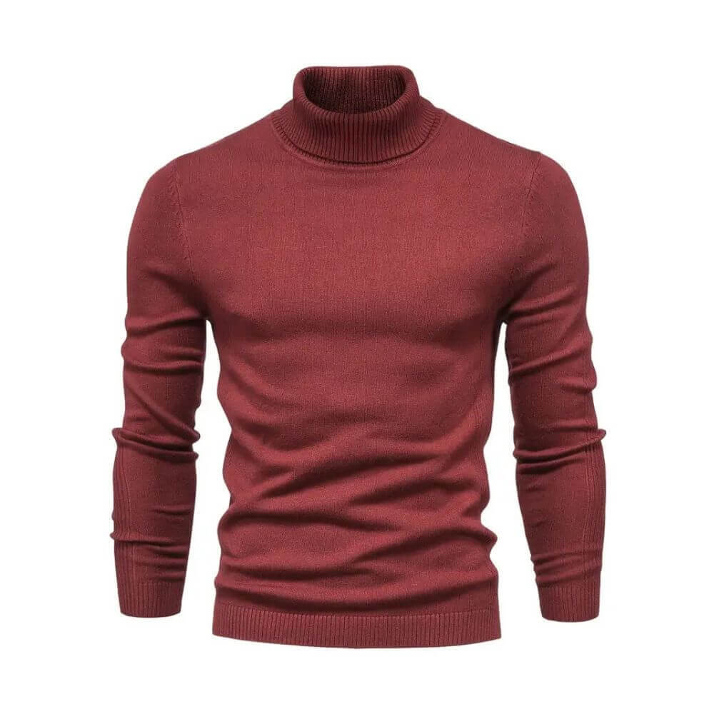 Donald | Comfortable turtleneck sweater